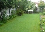 Lawn and Turf Landscaping Solutions
